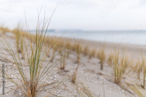 traumhafter Winterurlaub auf R  gen an der Ostsee     Abendstimmung am Strand von Thiessow