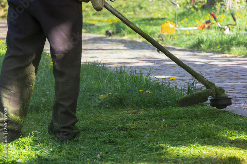 lawn mowing with brushcutter. springtime work in the park. pawed walkway. another tool lay in the grass in the distant blurred background. photo