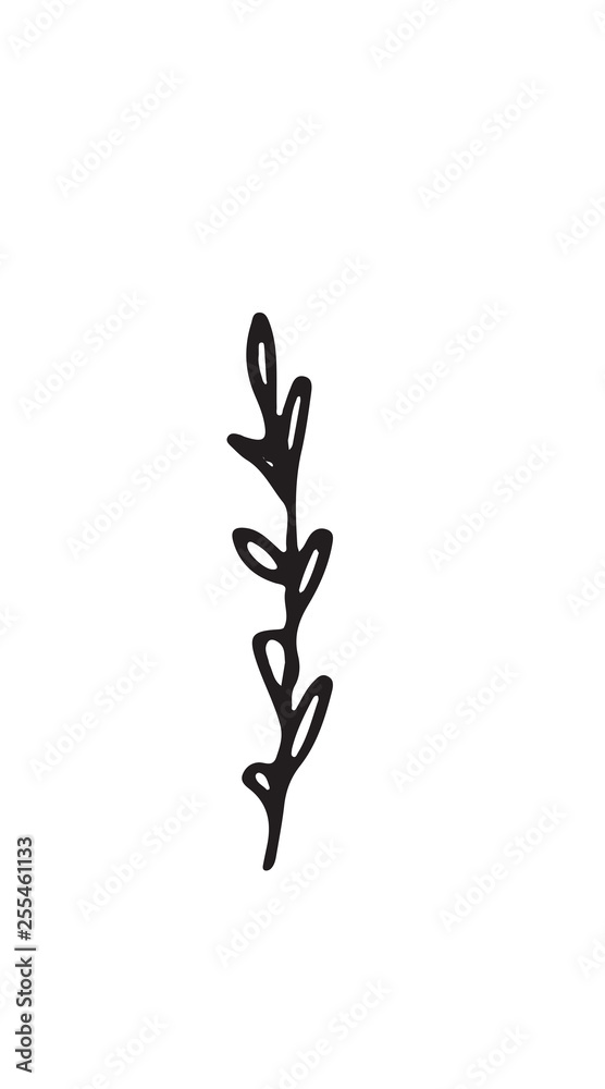 Hand-drawn sketch of a plant, isolated on white background. Abstract summer Vector illustration. Hand-drawn sketch of a plant, isolated on white background. Abstract summer Vector illustration.