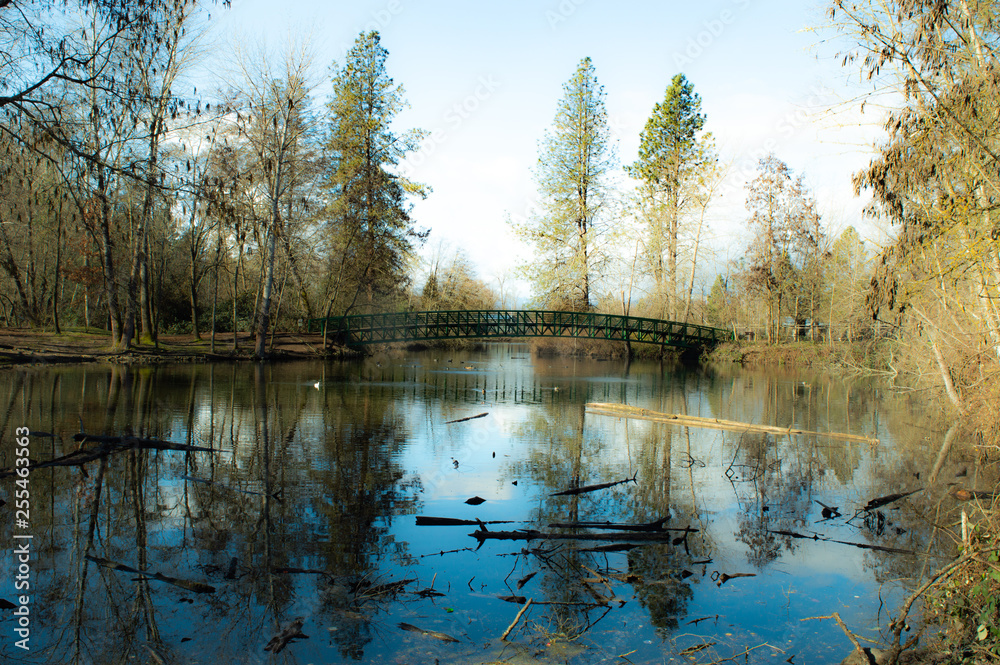 Fototapeta premium Oregon Life 