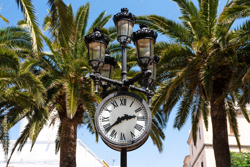 vintage clock between palm trees