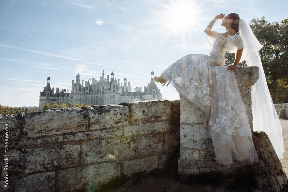 Obraz premium Beautiful bride in amazing dress with a long bridal veil posing against the backdrop of a beautiful castle in France