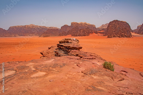 Red Sands in Remote Desert © wildnerdpix
