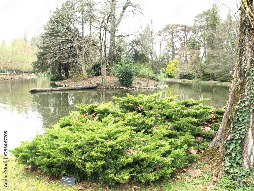 Jardin Massey Tarbes Hautes Pyrénées-2 Jardin Massey Tarbes Hautes Pyrénées-2
