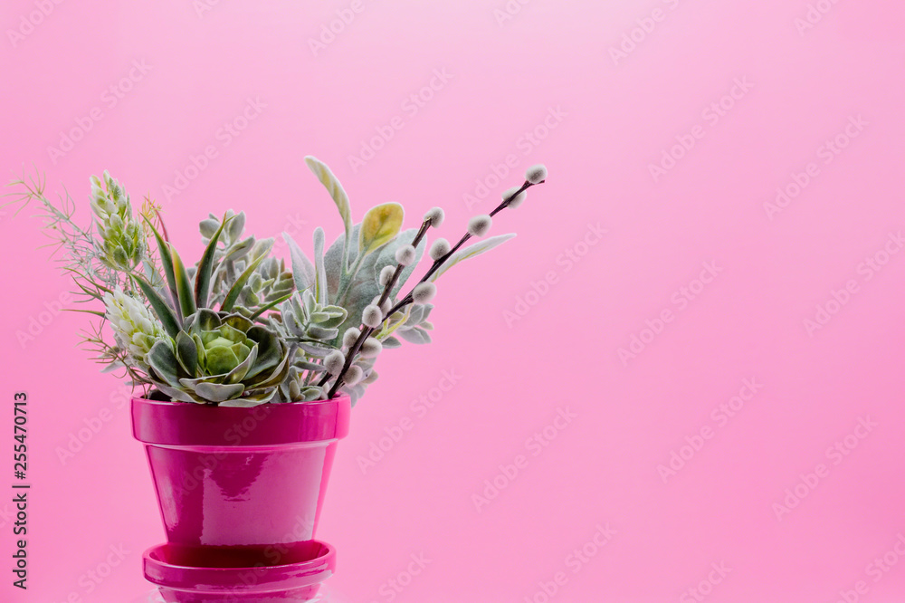 Obraz premium Pink pot of greens on pink background