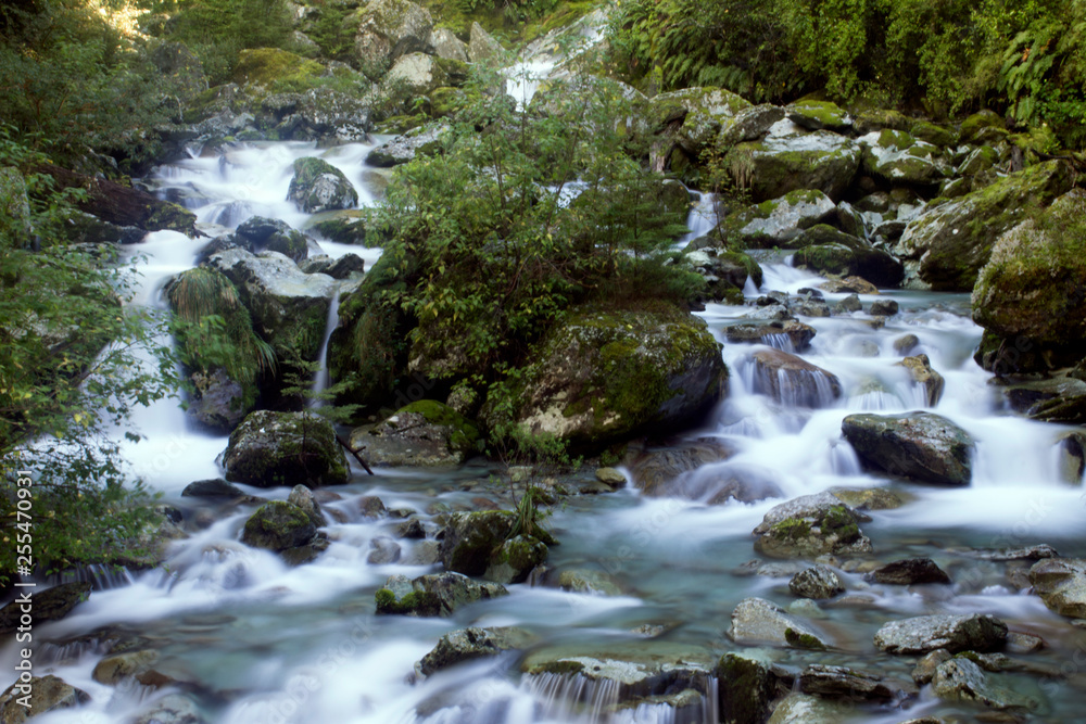 Waterfall in Fern Forest Waterfall in Fern Forest