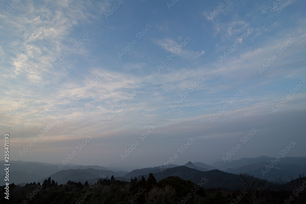 展望台から見た景色