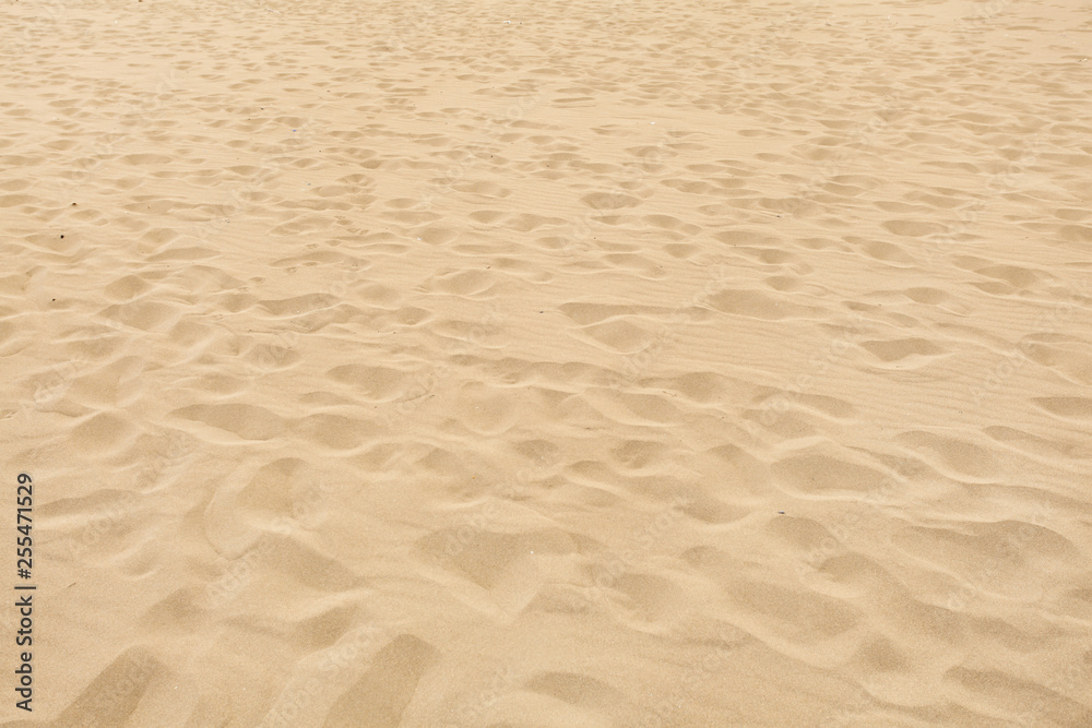Soft sand beach with many disappearing footprints. Soft sand beach with many disappearing footprints.