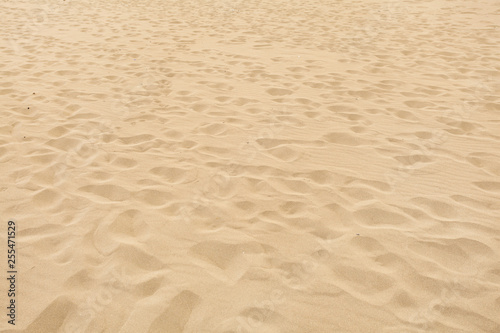 Soft sand beach with many disappearing footprints.