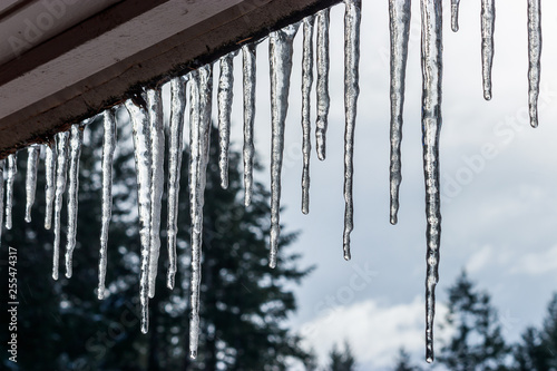 icicles on a roof with pine trees