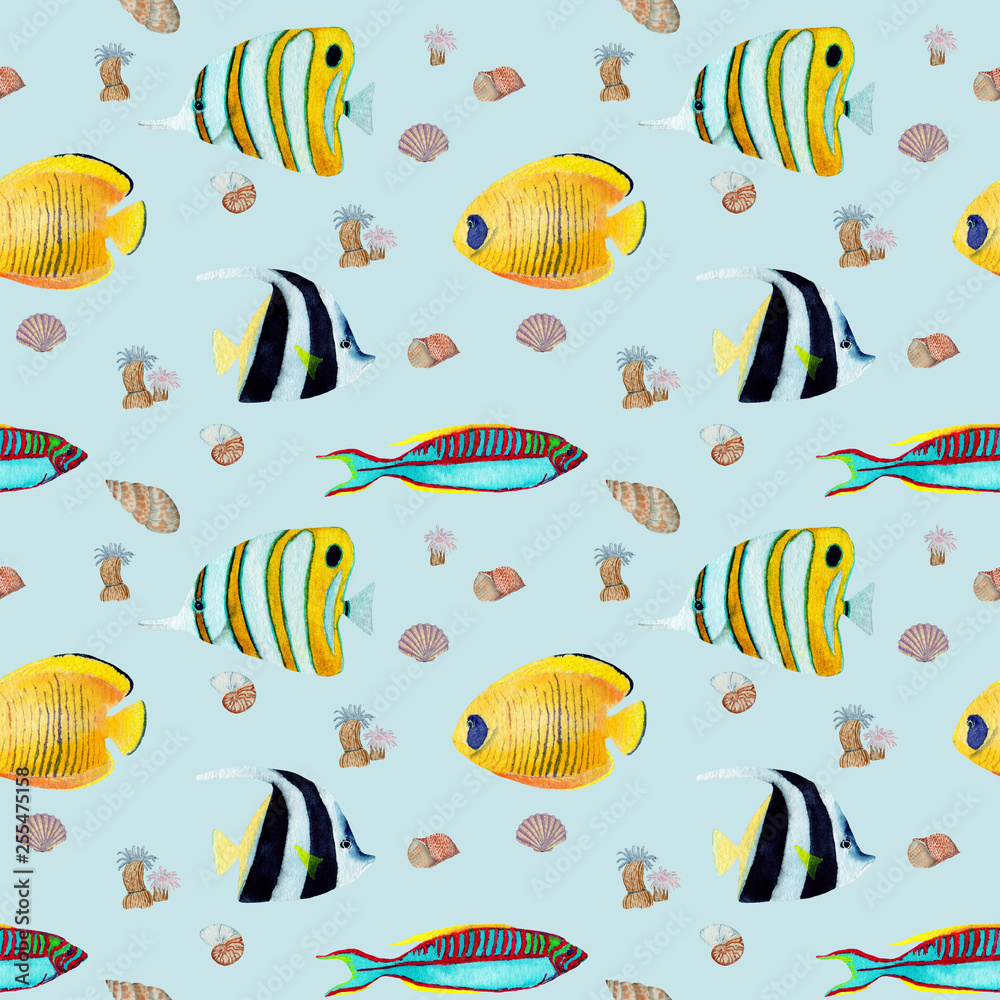 Hand drawn seamless pattern in watercolor natural element. Corals shells fish on baby blue background Hand drawn seamless pattern in watercolor natural element. Corals shells fish on baby blue background