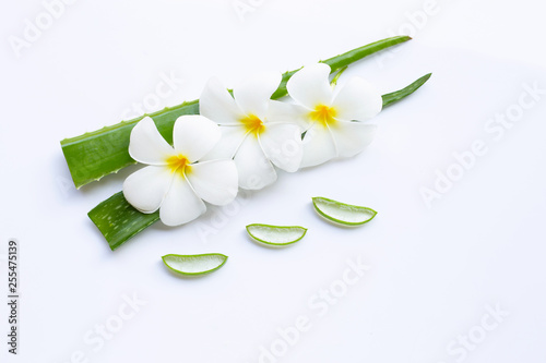 Aloe vera is a popular medicinal plant for health and beauty  on white background.