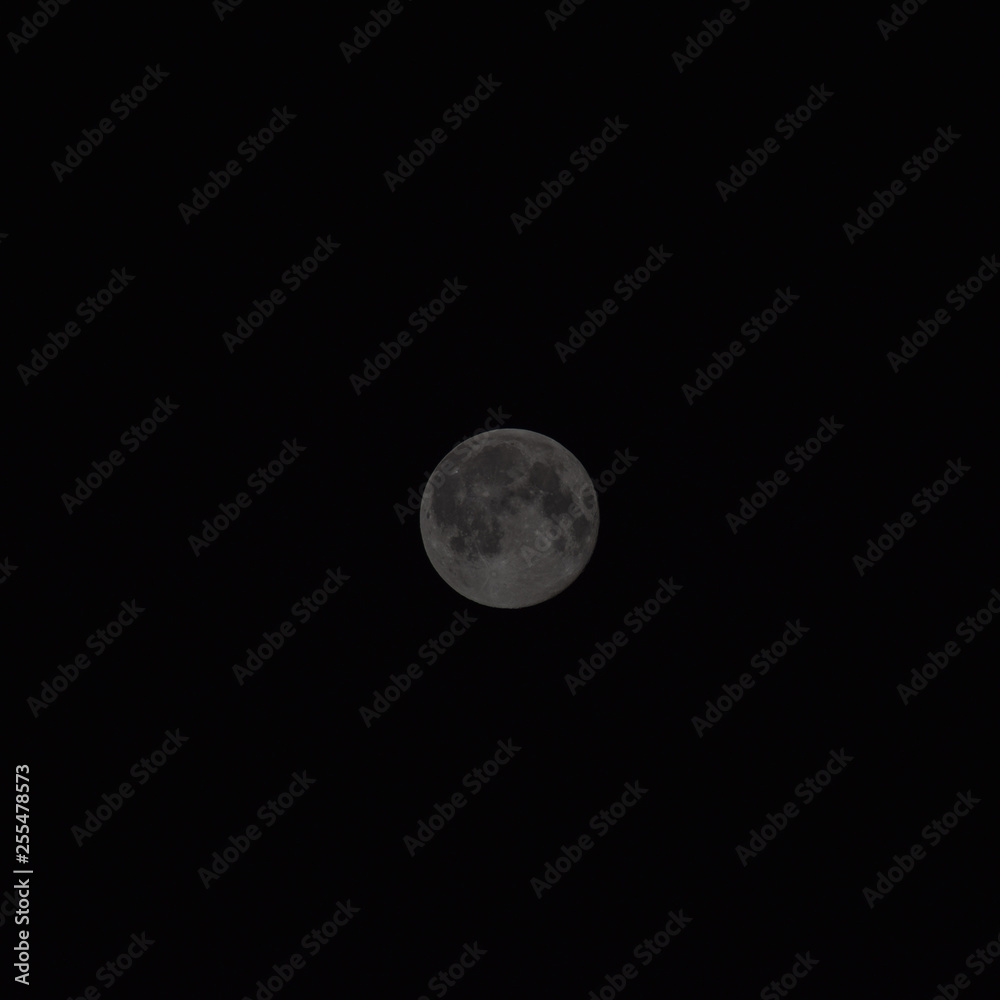 The moon in the night sky The moon in the night sky