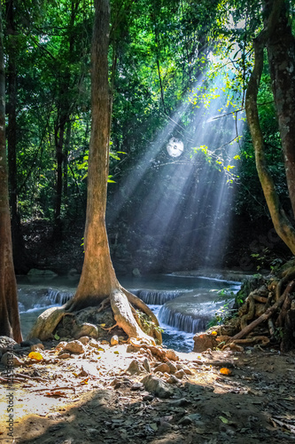 Fototapeta Naklejka Na Ścianę i Meble -  Sunlight streams through the trees and a round spider web at Erawan national park with waterfalls in the background larger