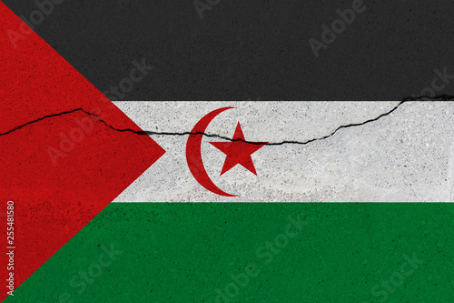 Sahrawi Arab Democratic Republic flag on concrete wall with crack