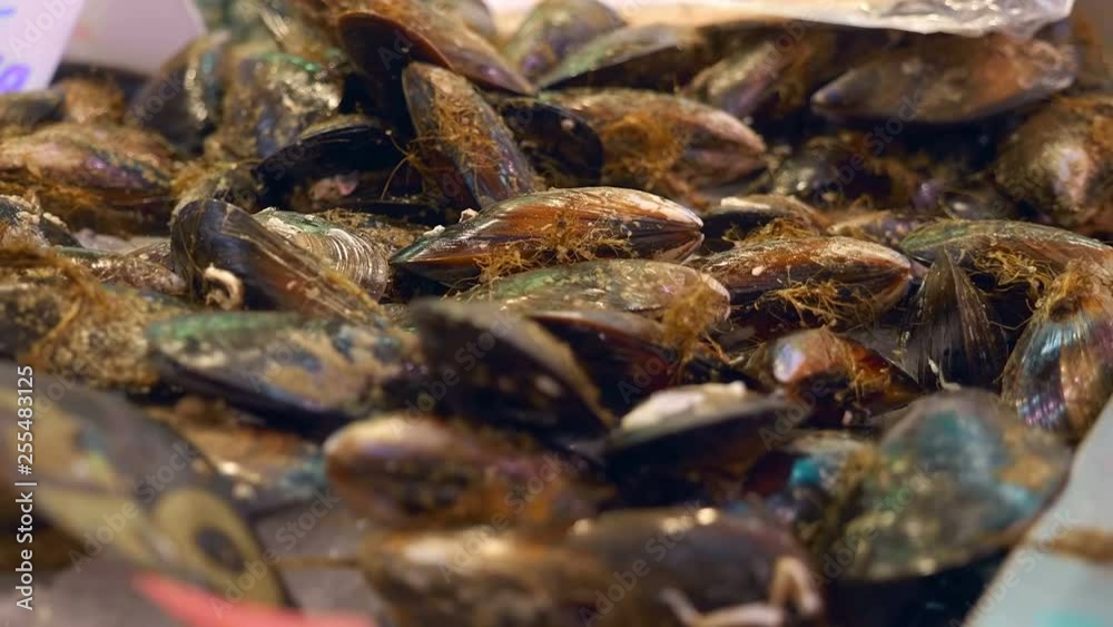Large heap of fresh, chilled mussel on the shelves with ice in the city market of Valencia, Spain. Shot in motion Large heap of fresh, chilled mussel on the shelves with ice in the city market of Valencia, Spain. Shot in motion