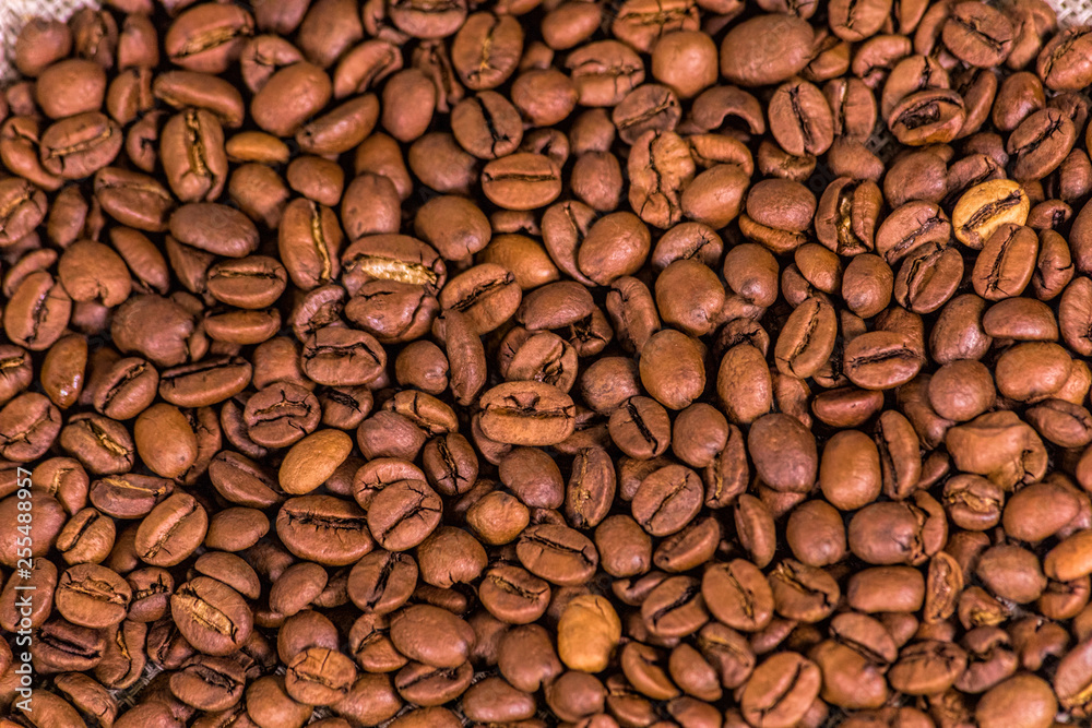 Coffee beans on cloth Coffee beans on cloth