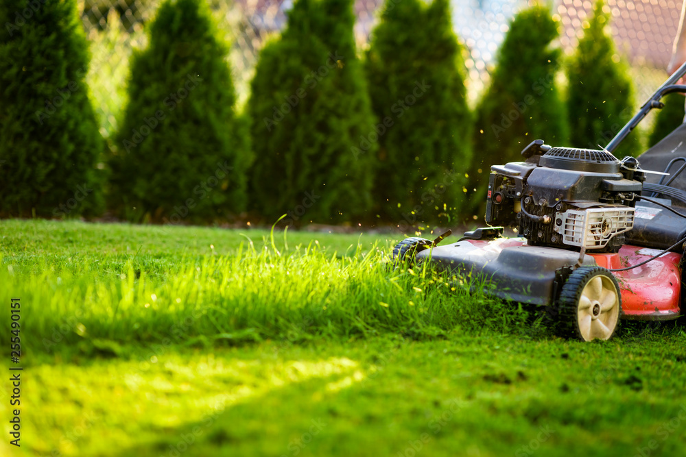 Lawn mower cutting green grass - obrazy, fototapety, plakaty 