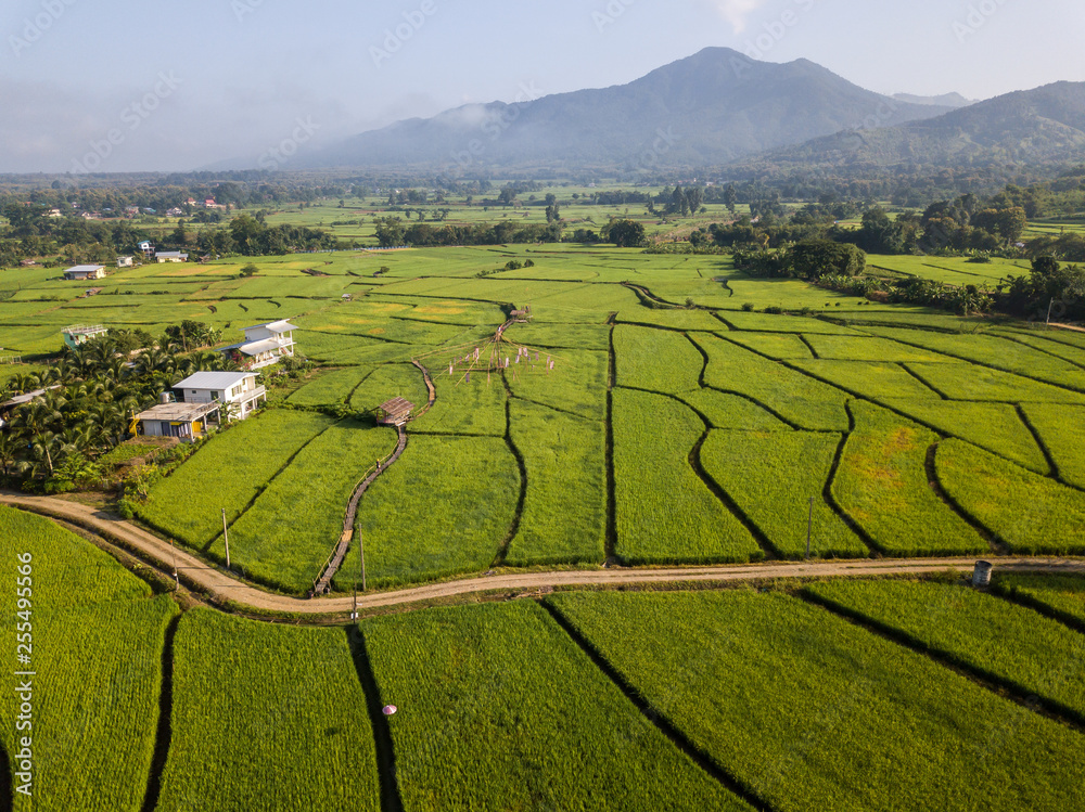 Φωτογραφία Fields in Nan Thailand nature outdoor landscape at Tanong homestay in Thailand