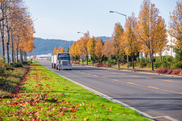 Big rig classic black semi truck with bulk semi trailer moving on the road with autumn yellow trees