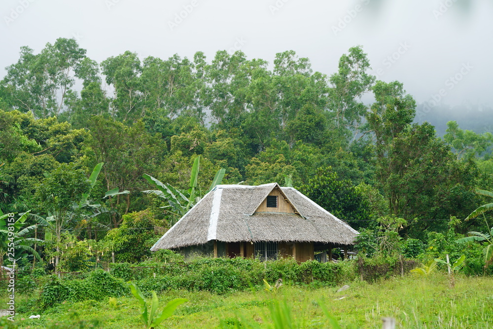 Small house in the jungle near Bacolod City, Philippines