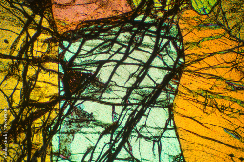 Abstract micrograph of olivine pyroxenite with polarization.