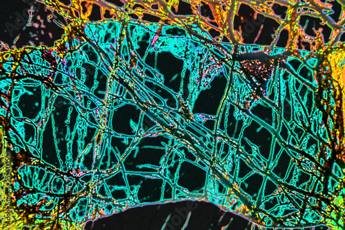 Digitally manipulated, abstract micrograph of olivine pyroxenite with polarization. photo