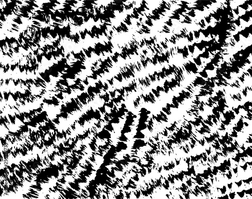 Brush grunge pattern. White and black vector.
