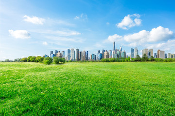 Shanghai city skyline and green grass under the blue sky,China