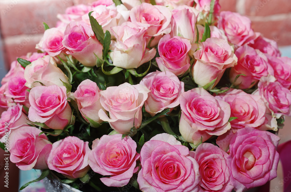 Gift bouquet of pink roses. Gift bouquet of pink roses.