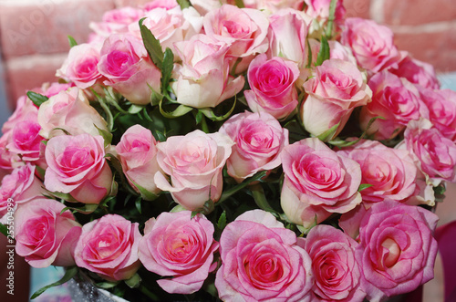 Gift bouquet of pink roses.