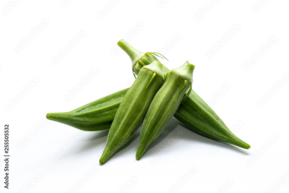 Okra (Abelmoschus esculentus (L.) Moench) isolated in white background. Okra (Abelmoschus esculentus (L.) Moench) isolated in white background.