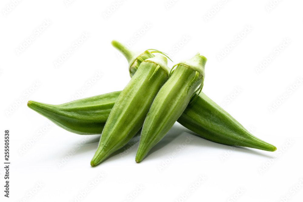 Okra (Abelmoschus esculentus (L.) Moench) isolated in white background. Okra (Abelmoschus esculentus (L.) Moench) isolated in white background.