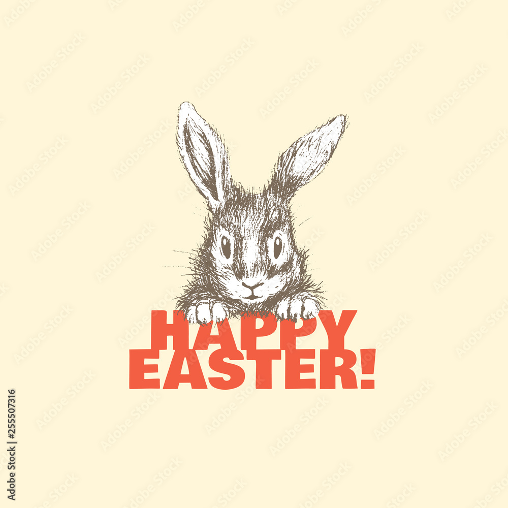 Obraz premium Lovely easter bunny