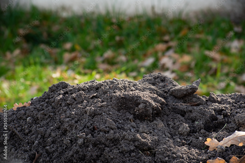 Pile of plowed land Pile of plowed land
