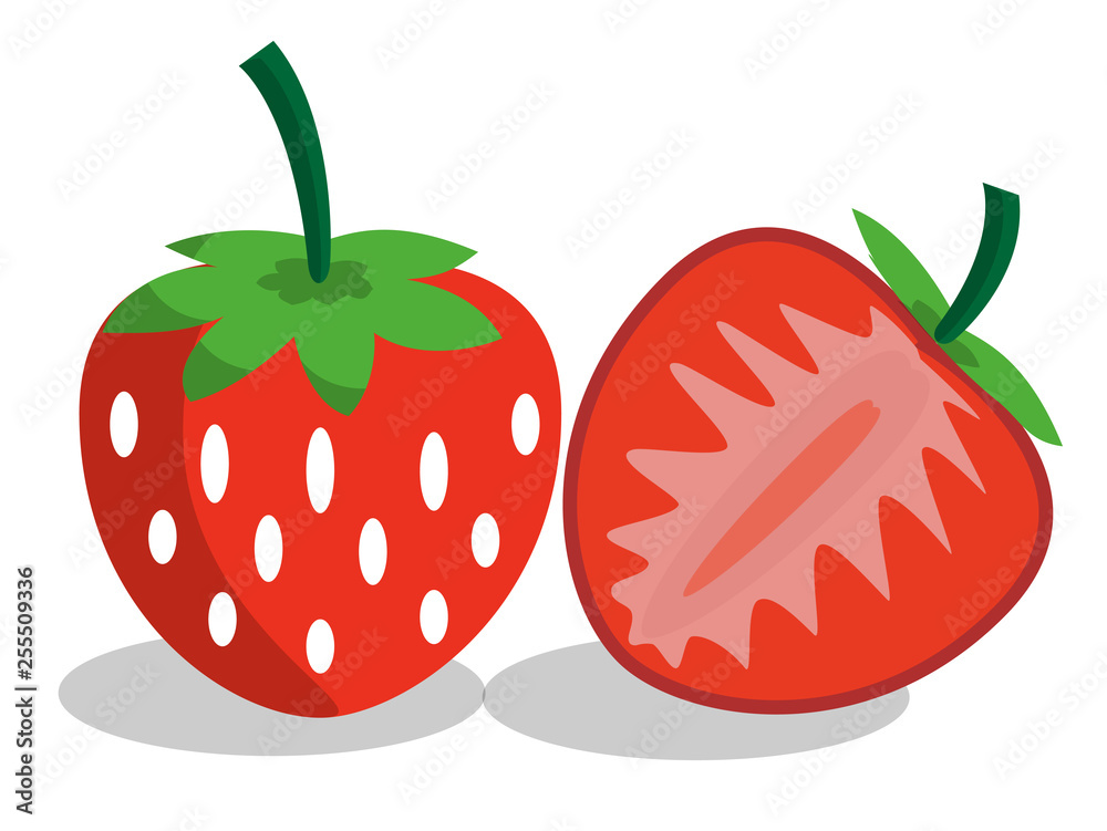 red strawberry on white background, vector illustration