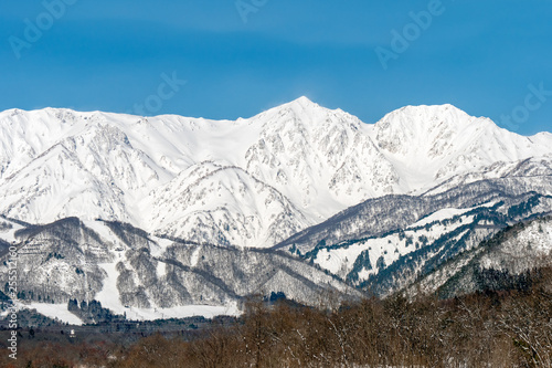 長野県白馬村 雪山の雪景色