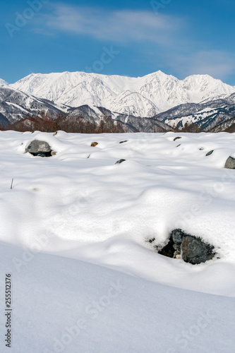 長野県白馬村 雪山の雪景色