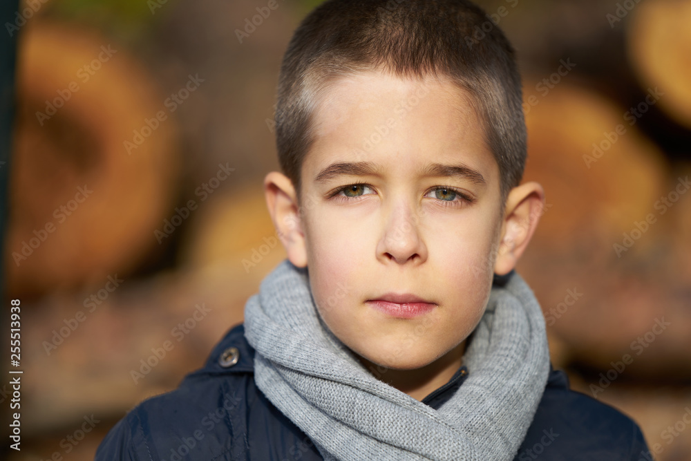 Portrait of a serious boy looking into camera, blurred timber background, autumn look Portrait of a serious boy looking into camera, blurred timber background, autumn look