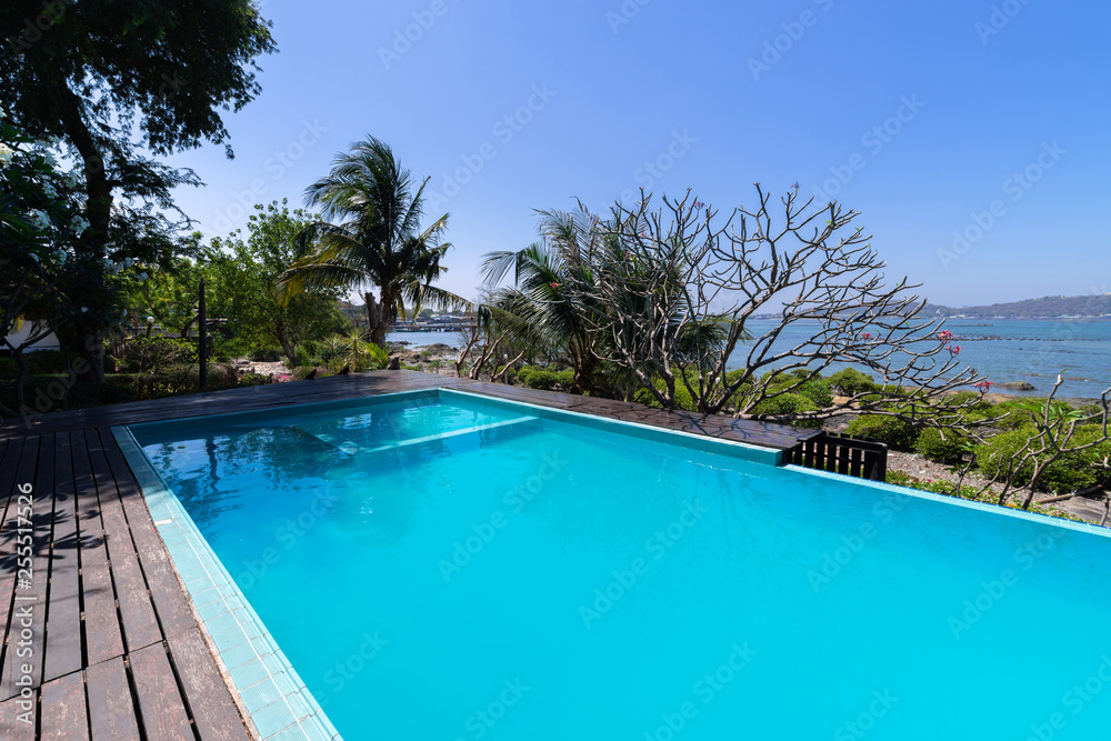 Swimming pool  blue water and tropical garden with sea view background