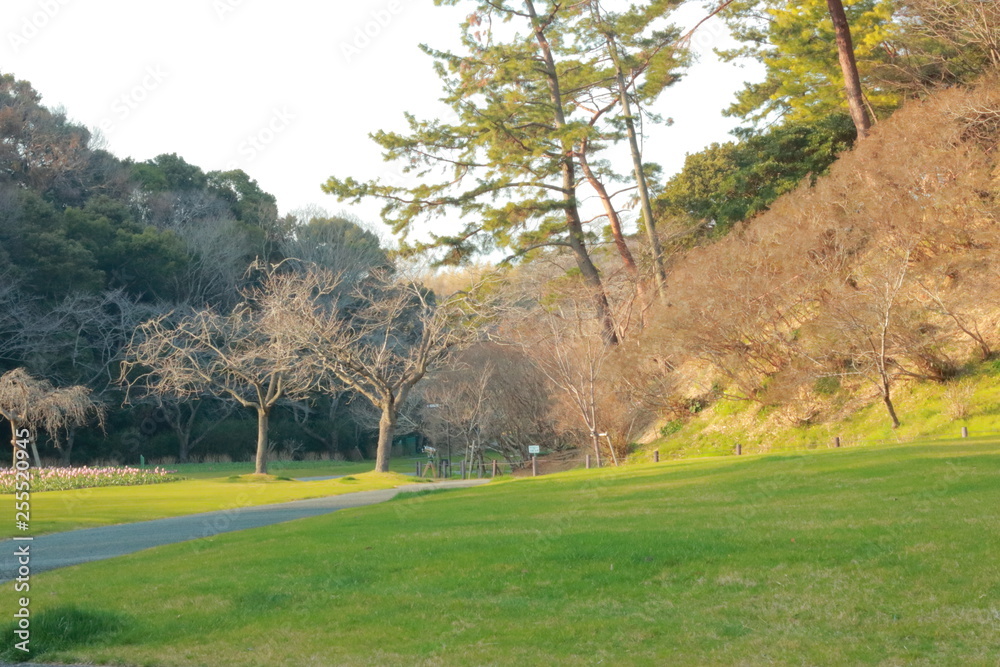 誰もいない孤独な公園の景色 誰もいない孤独な公園の景色