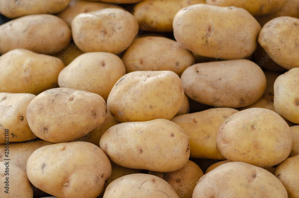 Fresh raw potato. Potatoes on market Fresh raw potato. Potatoes on market