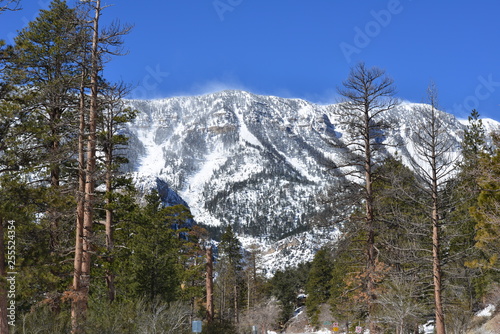 Snow capped mountains at Mount Charleston, Nevada photo