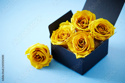 Fototapeta Naklejka Na Ścianę i Meble -  Preserved yellow rose