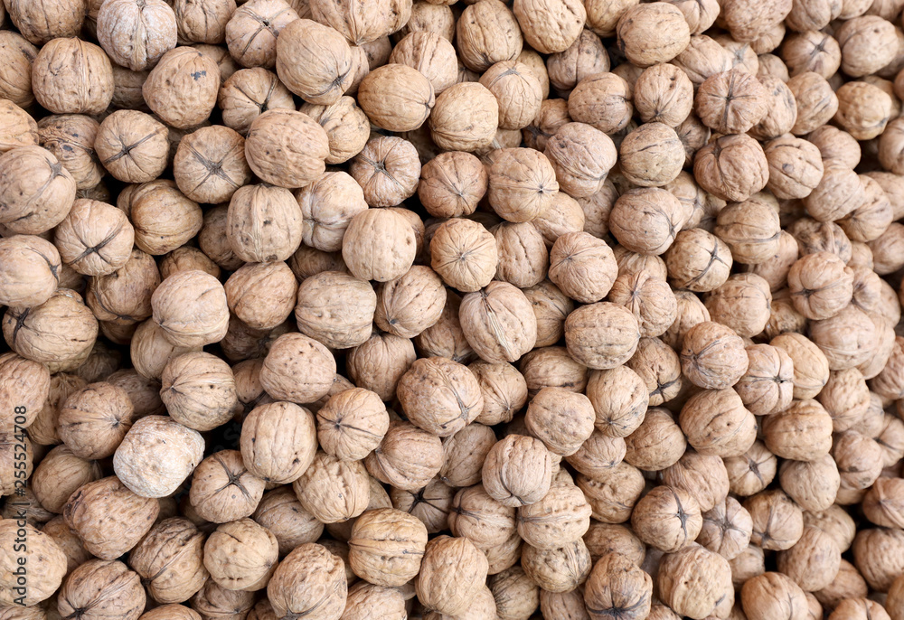 nuts with brown shell grown with organic techniques without chem nuts with brown shell grown with organic techniques without chem
