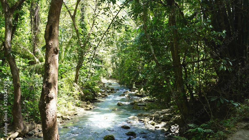 Chutes de Kawasan, Philippines Chutes de Kawasan, Philippines