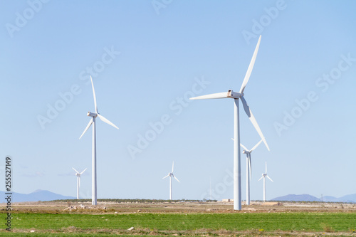scenic view of a wind farm