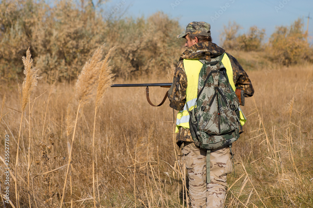 Hunters with a german drathaar and spaniel, pigeon hunting with dogs in reflective vests Hunters with a german drathaar and spaniel, pigeon hunting with dogs in reflective vests