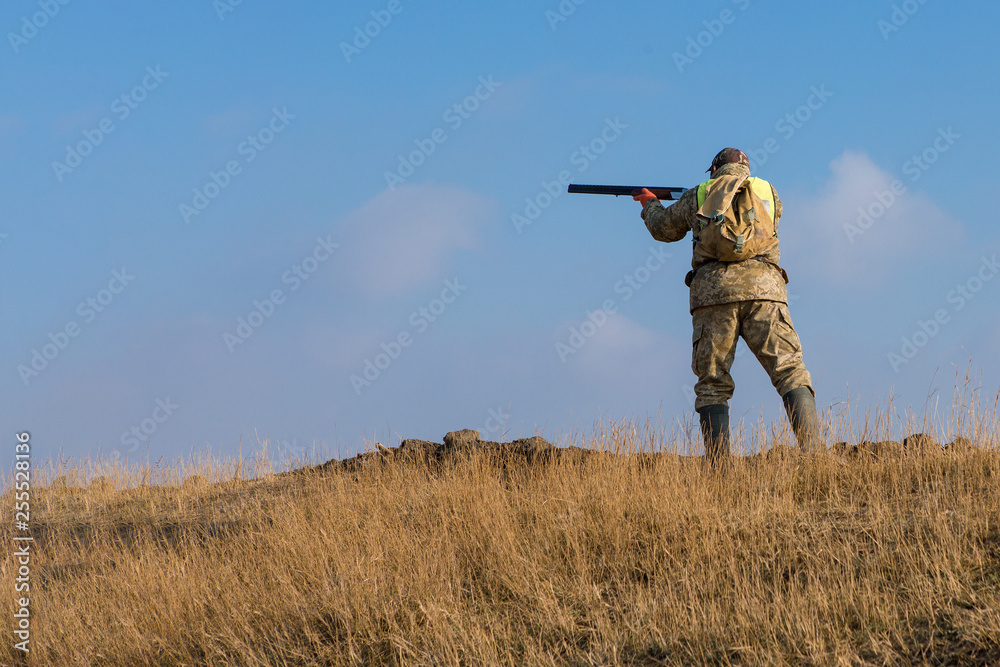 Hunters with a german drathaar and spaniel, pigeon hunting with dogs in reflective vests Hunters with a german drathaar and spaniel, pigeon hunting with dogs in reflective vests