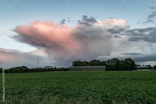 Purple colors on the anvil and mammatus clouds of a thundery shower in The Netherlands